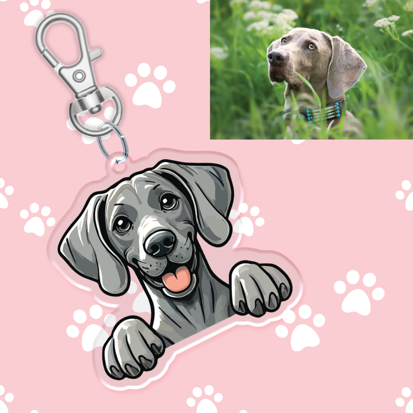 Weimaraner Acrylic Keychain - Zyllion