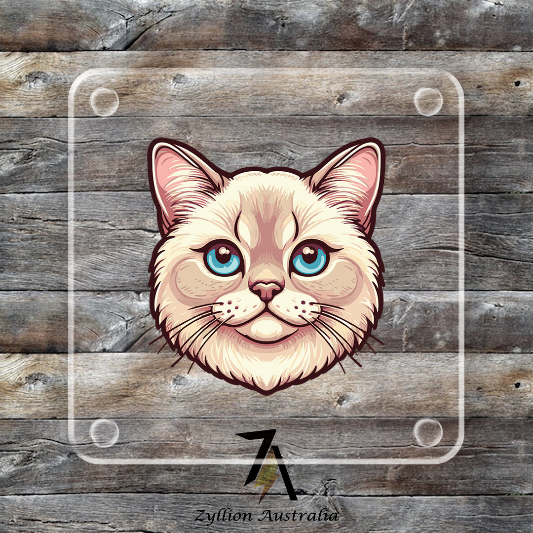 Burmilla Cat Acrylic Coaster