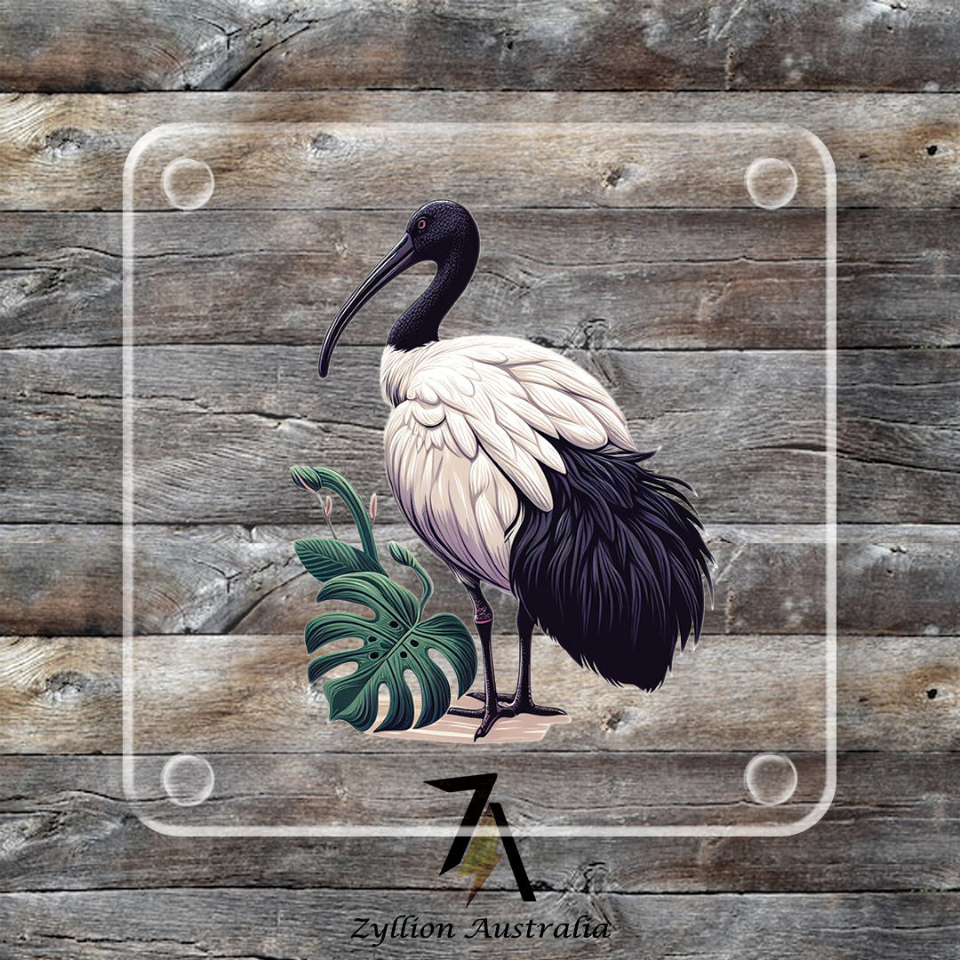Ibis Acrylic Coaster