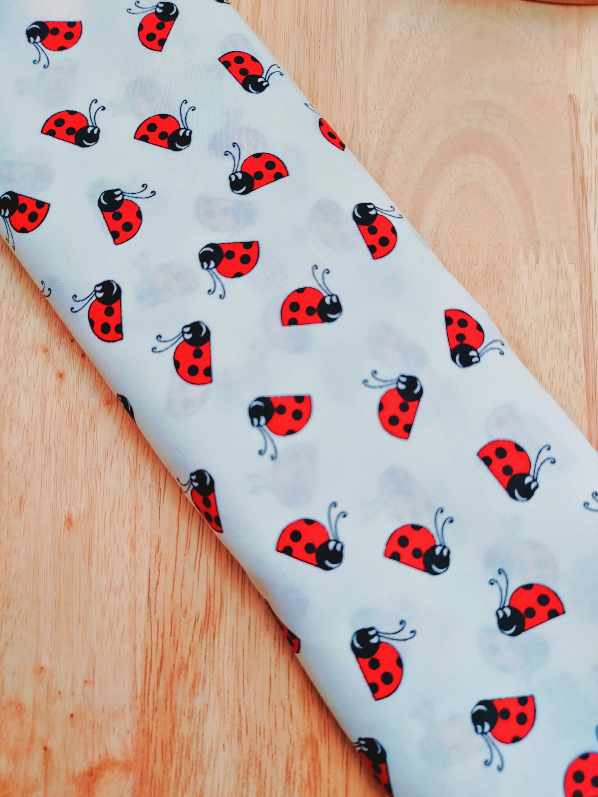 Lady Bugs Wired Headband