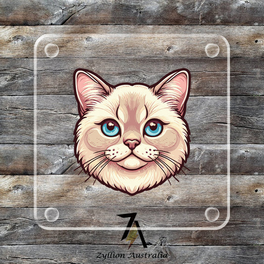 Burmilla Cat Acrylic Coaster