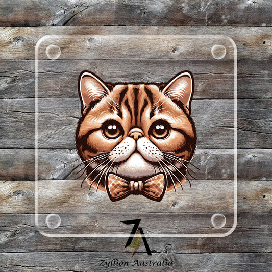 Exotic Shorthair Cat Acrylic Coaster