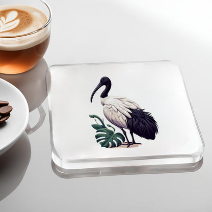 Ibis Acrylic Coaster