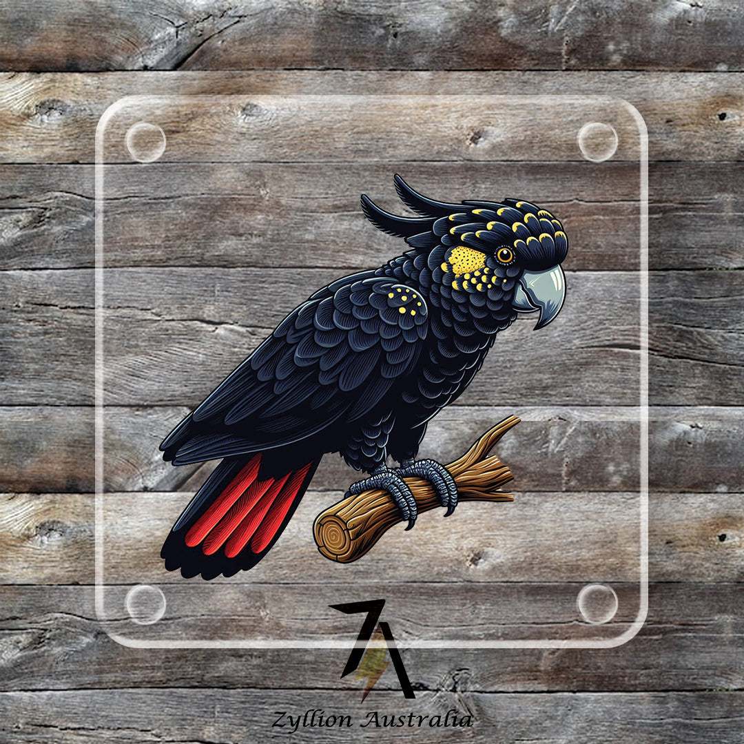 Red-tailed Black Cockatoo Acrylic Coaster